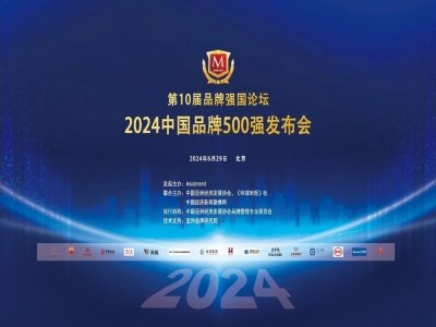 2024ꡰйƷ500ǿе﮵ҵ