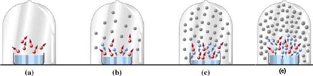 VPA 蒸汽压分析仪的图?/></a></div> <div class=