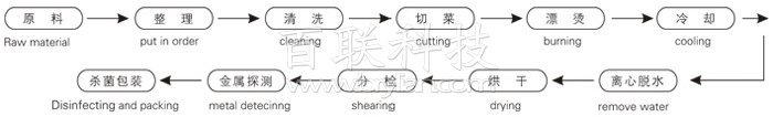 脱水蔬菜带式干燥工艺流程