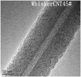 超高纯高结晶度晶须碳纳米 WhiskerCNT-H的图?/></a></div> <div class=