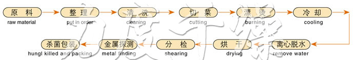 DWC系列脱水蔬菜带式干燥机工艺流程图