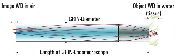 透镜GRIN针内窥显微镜的图?/></a></div> <div class=