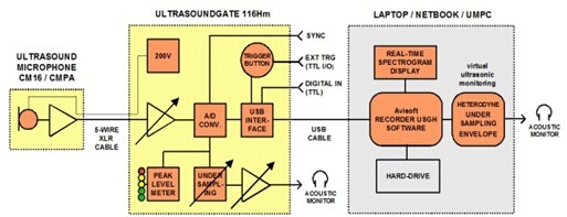 UltraSoundGate 116Hm动物声谱分析系统的图?/></a></div> <div class=