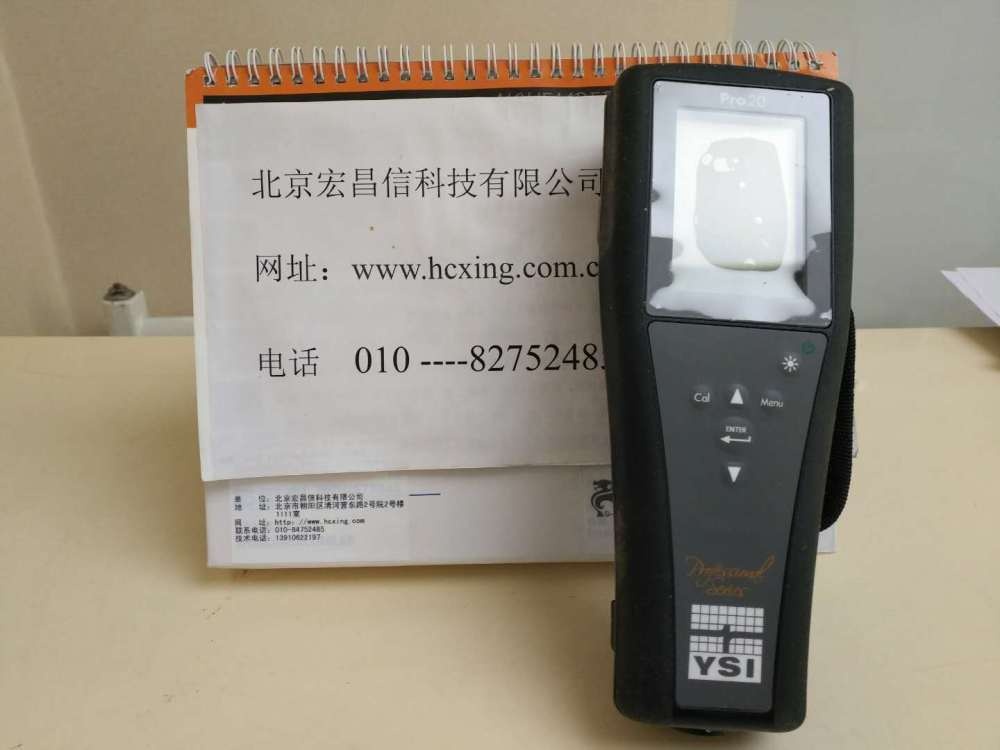 YSI Pro20溶解氧测量仪的图?/></a></div> <div class=