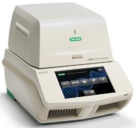 bio-rad CFX96 Touch荧光定量PCR的图?/></a></div> <div class=