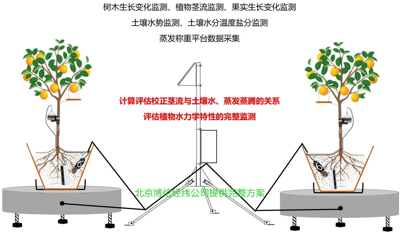 蒸发称重测量平台DL300-WP20ET的图?/></a></div> <div class=