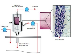 Applikon BioSep声学细胞截留系统的图?/></a></div> <div class=