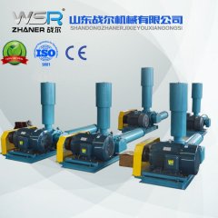 WSR-175罗茨风机的图?/></a></div> <div class=