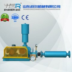 污水罗茨鼓风机WSR-50的图?/></a></div> <div class=