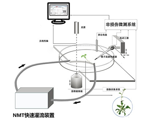 NMT自动灌流系统的图?/></a></div> <div class=