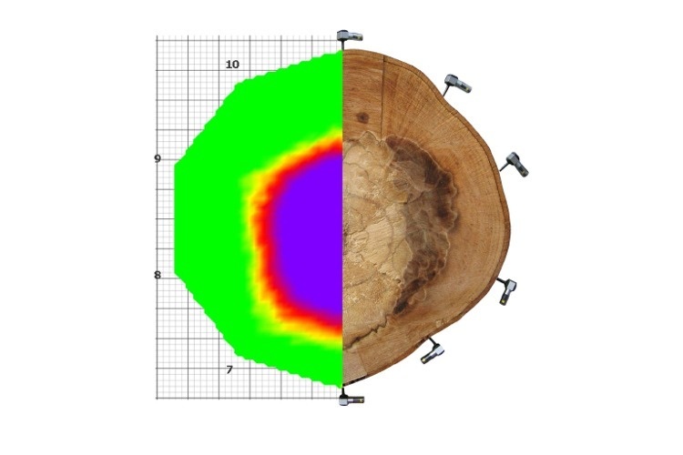 Fakopp声波断层扫描系统ArborSonic 3D的图?/></a></div> <div class=