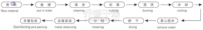 脱水蔬菜带式干燥工艺流程