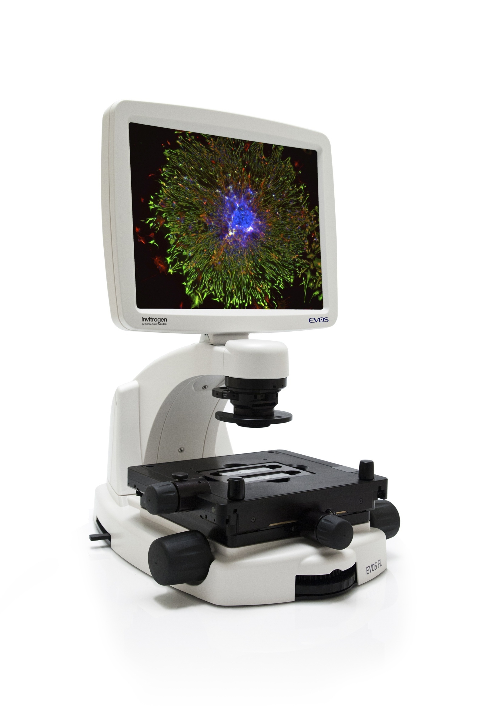 Invitrogen EVOS FL细胞荧光成像系统的图?/></a></div> <div class=