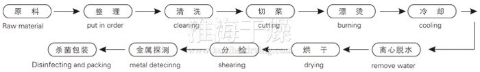 脱水蔬菜带式干燥工艺流程