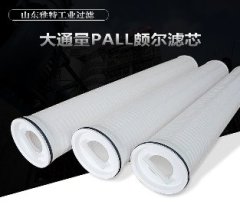 大通量PAll颇尔滤芯的图?/></a></div> <div class=