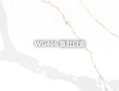 WG466 鱼肚白金的图?/></a></div>              <div class=