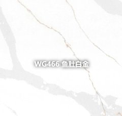 WG466 鱼肚白金的图?/></a></div> <div class=