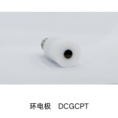 环电极DCGCPT的图?/></a></div> <div class=