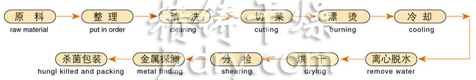 DWC系列脱水蔬菜带式干燥机工艺流程图