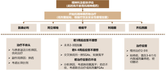 精神分裂症及相关障碍的药物治疗流? /></div><figcaption style=