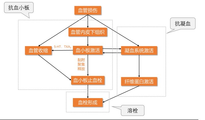 血栓形成机制及抗血栓用药分? /></div><figcaption style=