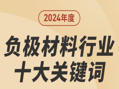 2024年负极材料行业十大关键词