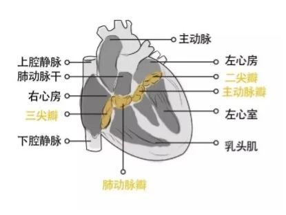 微信图片_20240111165535.jpg