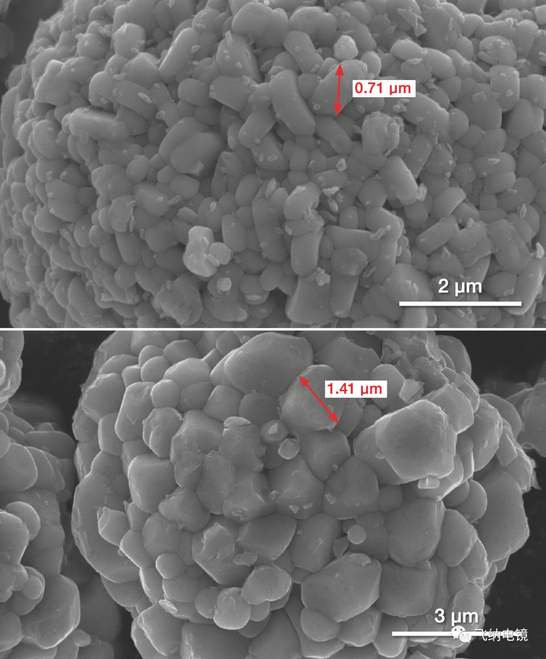 扫描电镜下具有不同一次晶体颗粒尺寸的多晶 NCM 颗粒
