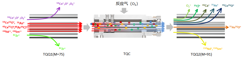 谱育科技