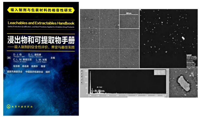 全自动颗粒检测系统进 全自动颗粒识别、粒径测量和元素分析